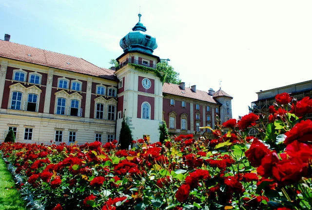 Zdjęcie z galerii